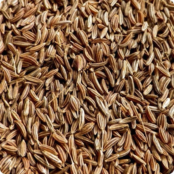 Caraway seeds thumbnail 3