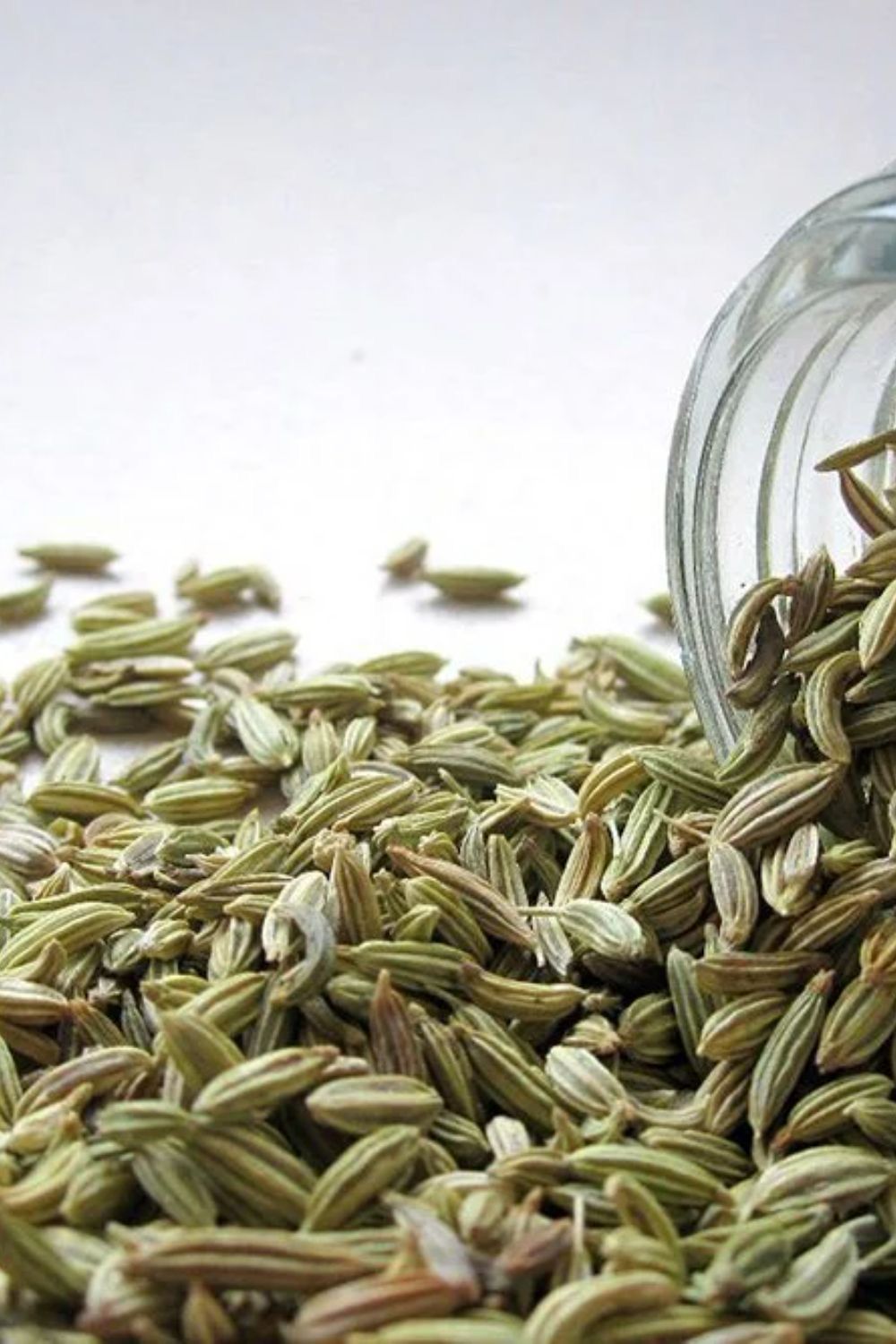 Fennel seeds thumbnail 3