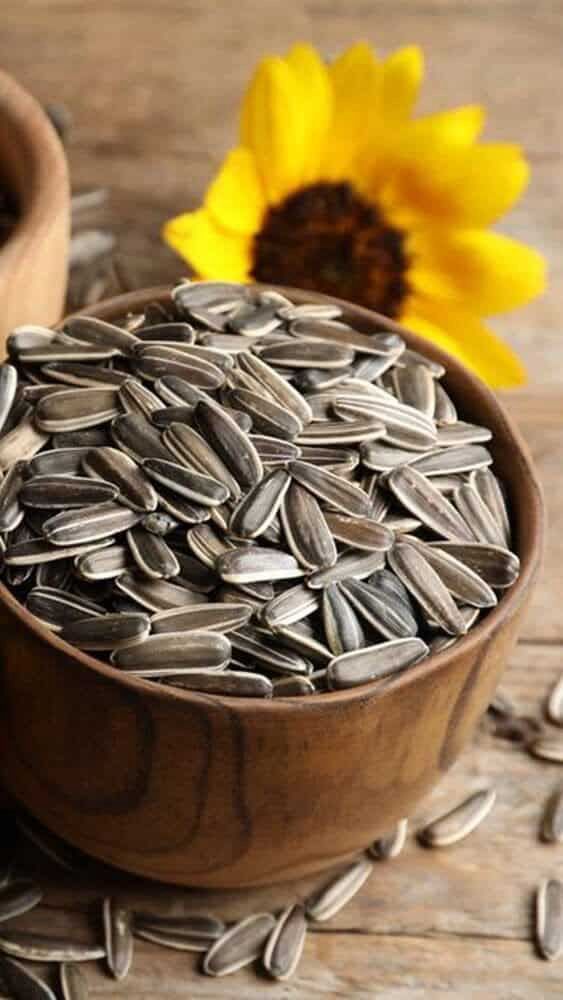 Sun flower seeds thumbnail 2