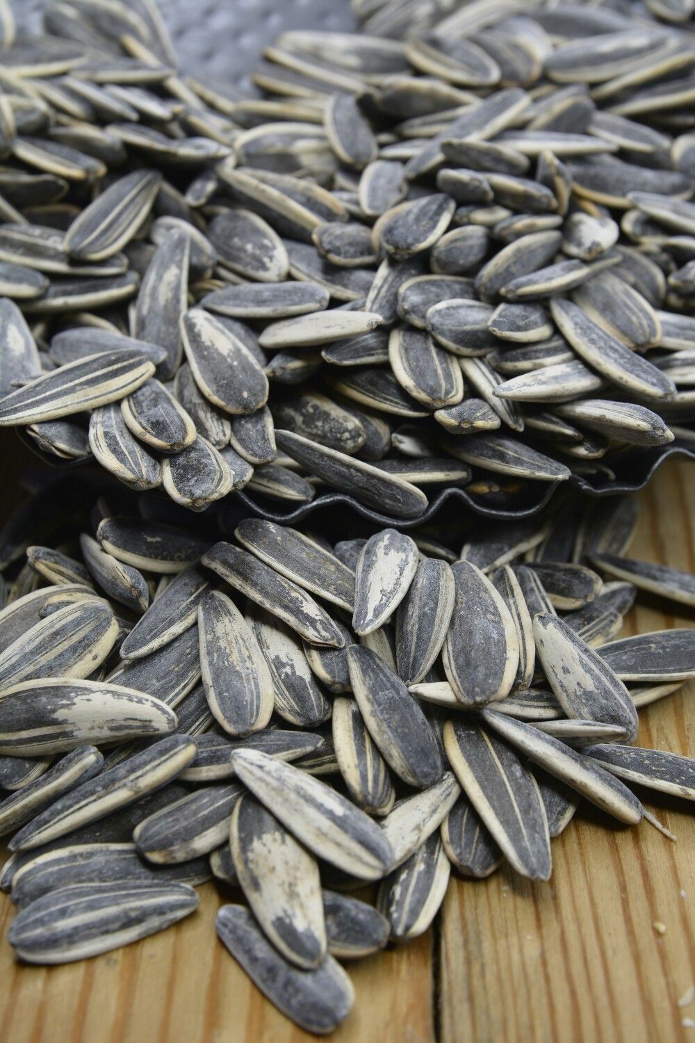 Sun flower seeds thumbnail 3